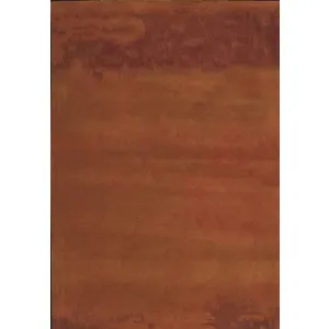 Calvin Klein Luster Wash SW01-RUS