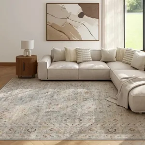 Oushak Home Light Grey Rug