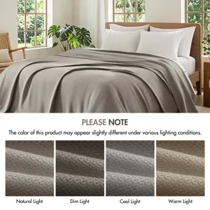 Madison Park 100% Certified Egyptian Cotton Blanket