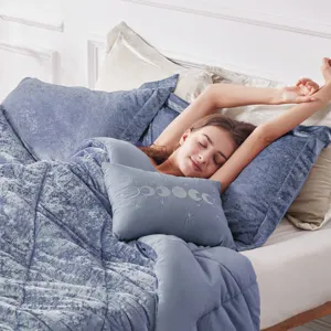 Intelligent Design Felicia Velvet Comforter Set with Throw Pillow