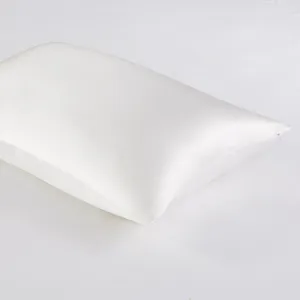 Madison Park 100% Mulberry Silk Pillowcase Single Piece