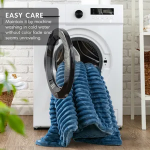Intelligent Design Avril Fluffy Ribbed Plush Comforter Set