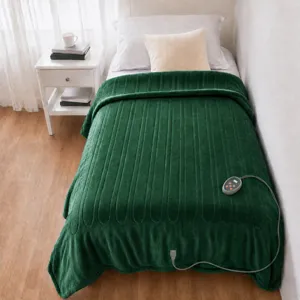 Beautyrest Heated Microlight to Berber Blanket