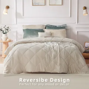 Intelligent Design Felicia Velvet Comforter Set with Throw Pillow