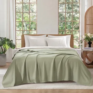 Madison Park 100% Certified Egyptian Cotton Blanket