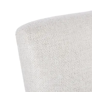 Braiden Dining Chair (set of 2) - Natural