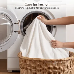 Madison Park 100% Certified Egyptian Cotton Blanket