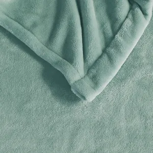 Beautyrest Plush Heated Blanket