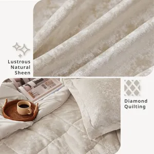 Intelligent Design Felicia Velvet Comforter Set with Throw Pillow