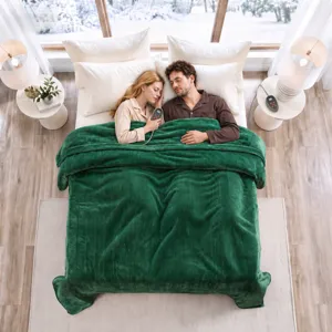 Beautyrest Plush Heated Blanket