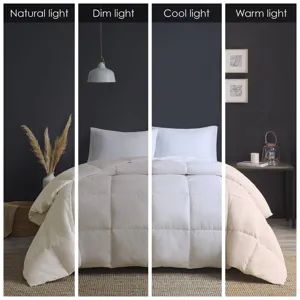 True North by Sleep Philosophy Heavy Warmth Goose Feather and Down Oversize Comforter