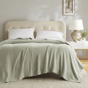 Madison Park 100% Certified Egyptian Cotton Blanket