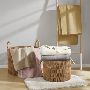Madison Park 100% Certified Egyptian Cotton Blanket