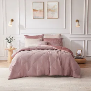Intelligent Design Felicia Velvet Comforter Set with Throw Pillow