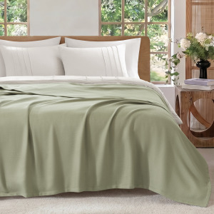 Madison Park 100% Certified Egyptian Cotton Blanket