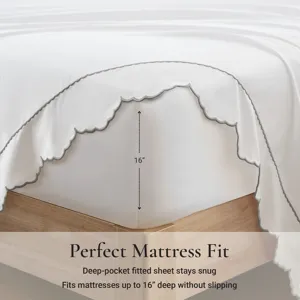 Harbor House Brielle Scalloped Edge Cotton Sheet Set