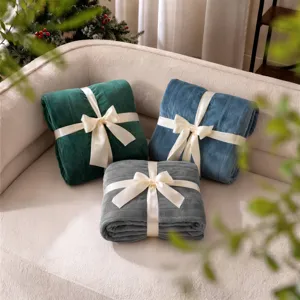 Beautyrest Plush Heated Throw