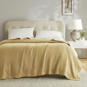 Madison Park 100% Certified Egyptian Cotton Blanket