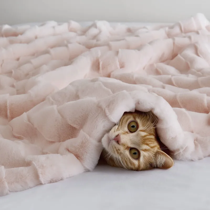 Madison Park Vivienne Faux Fur Throw