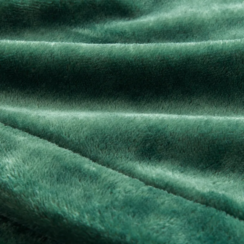 Beautyrest Plush Heated Blanket