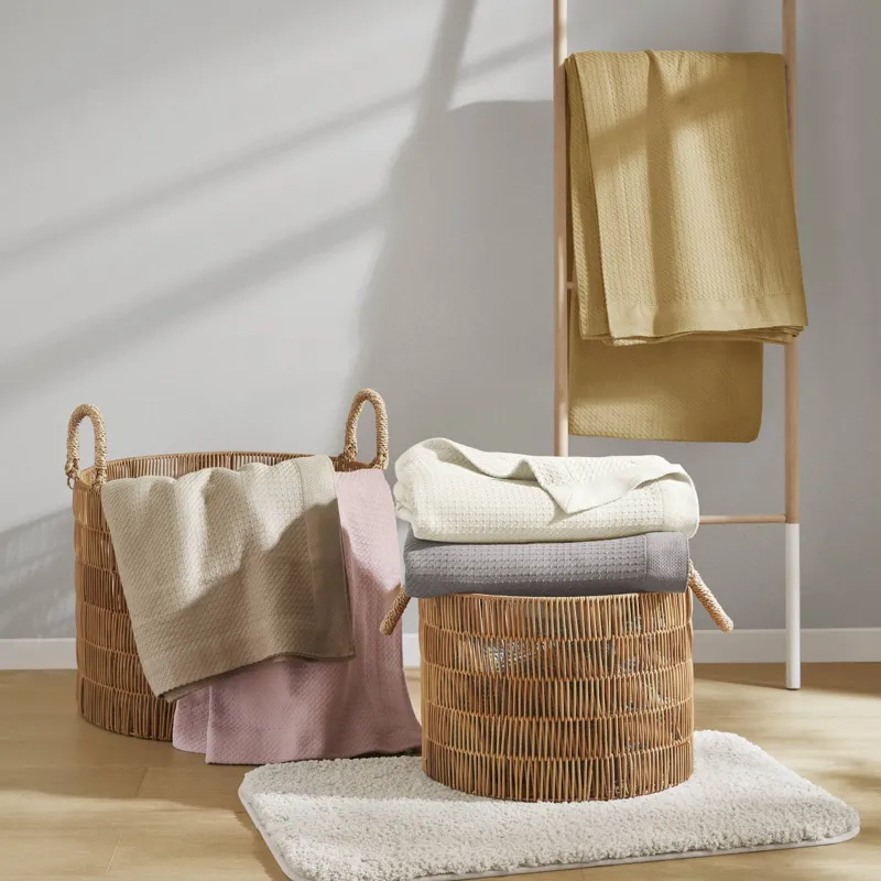 Madison Park 100% Certified Egyptian Cotton Blanket