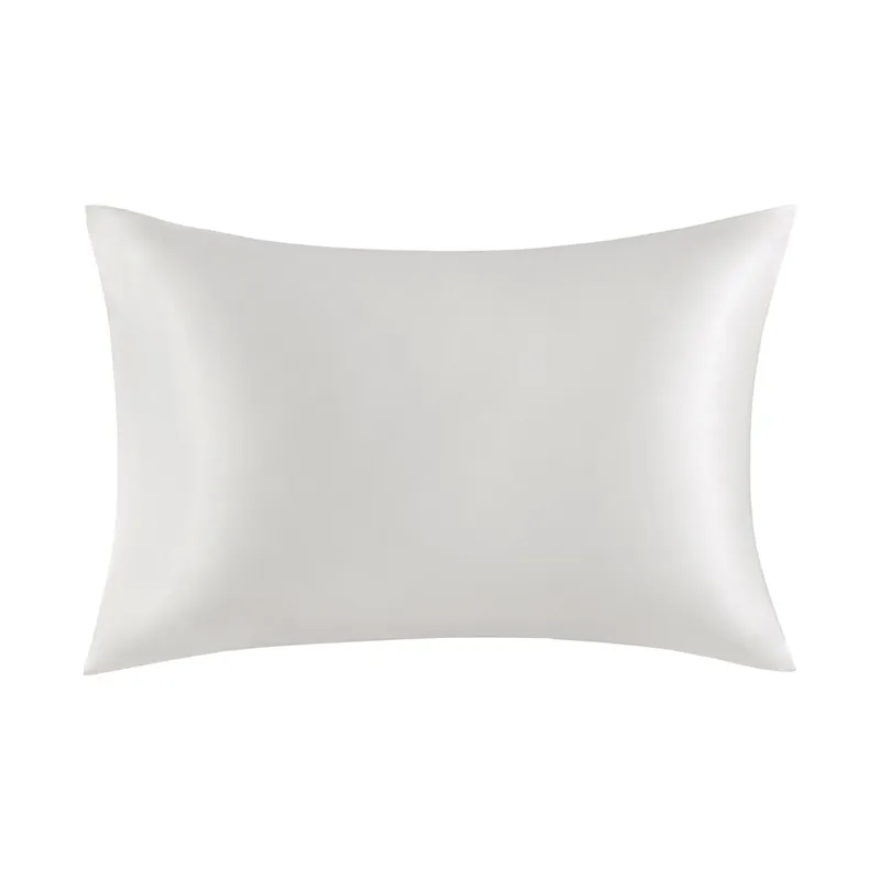 Madison Park 100% Mulberry Silk Pillowcase Single Piece