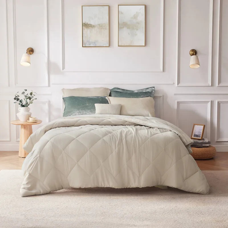 Intelligent Design Felicia Velvet Comforter Set with Throw Pillow