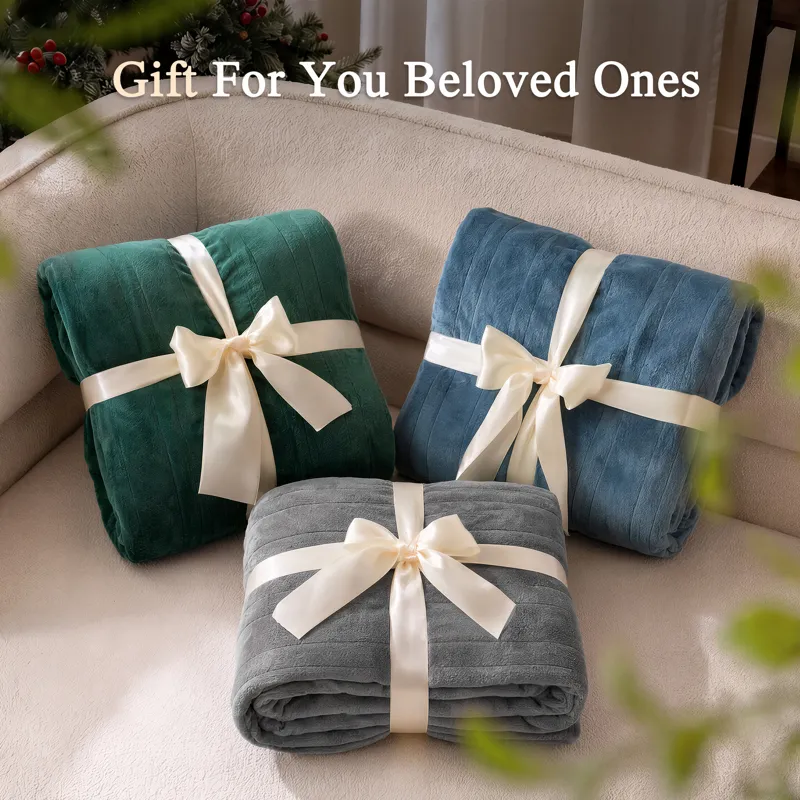 Beautyrest Plush Heated Throw
