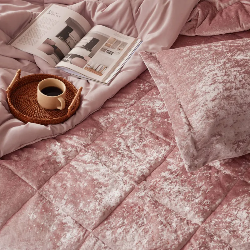 Intelligent Design Felicia Velvet Comforter Set with Throw Pillow