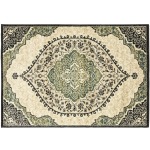 Evandale Rug - 7'10" X 10'