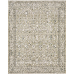 Avalon Beige Distressed Rug
