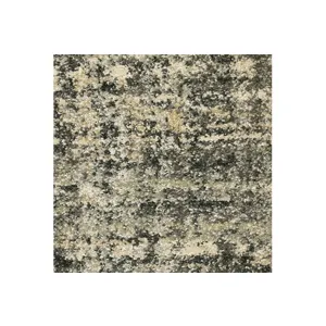 astor_2541m_zoom.jpg