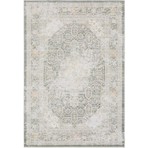 Cavett Grey Distressed Rug