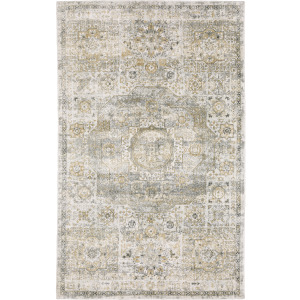Windham Grey Distressed Rug