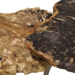 Cologne Petrified Wood Table, Set Of 2