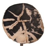 Black Petrified Wood Accent Table, Small