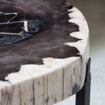 Black Petrified Wood Accent Table, Small
