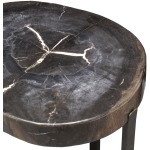 Black Petrified Wood Accent Table, Large