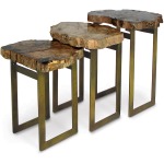 Petrified Wood Waterfall Table, Set Of 3