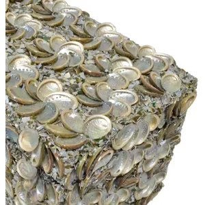Abalone Shell Rectangular Box