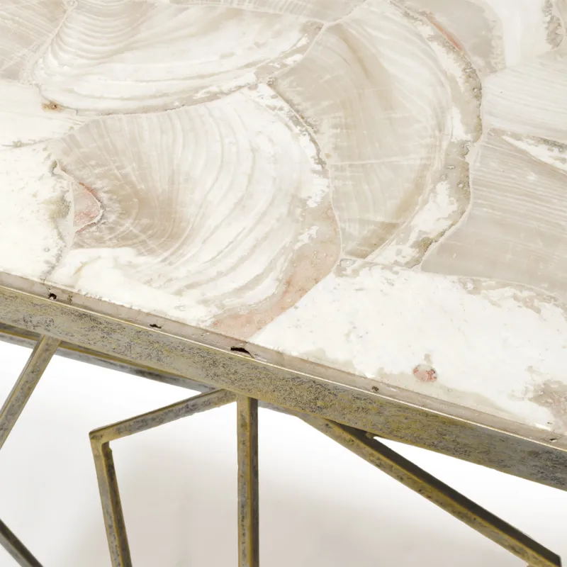 Loren Fossilized Clam Console Table