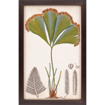 Foliage Botanique I