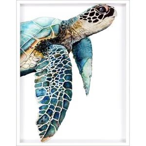 Great Sea Turtle Framed Art