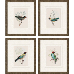 On Perch I S/4 Framed Art