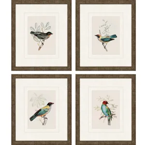 On Perch I S/4 Framed Art