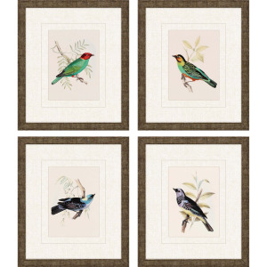 On Perch II S/4 Framed Art