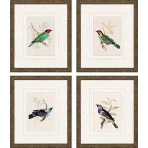 On Perch II S/4 Framed Art
