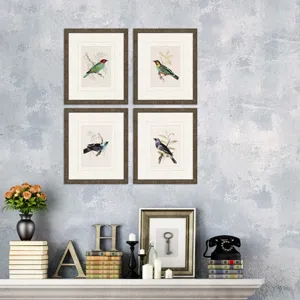 On Perch II S/4 Framed Art