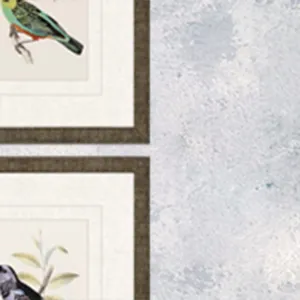 On Perch II S/4 Framed Art