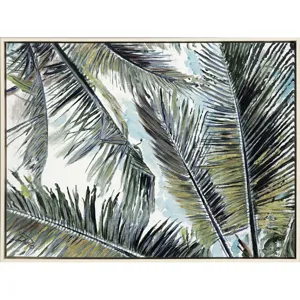 Palms in the Sky Canvas